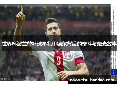 世界杯波兰替补球星扎伊德尔背后的奋斗与荣光故事