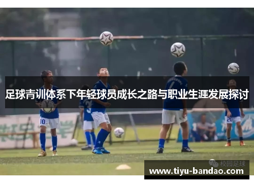 足球青训体系下年轻球员成长之路与职业生涯发展探讨