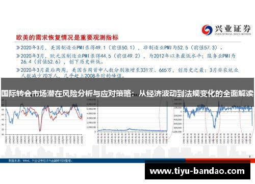 国际转会市场潜在风险分析与应对策略：从经济波动到法规变化的全面解读