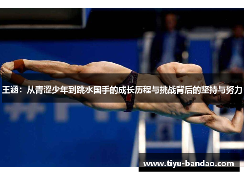 王涵：从青涩少年到跳水国手的成长历程与挑战背后的坚持与努力