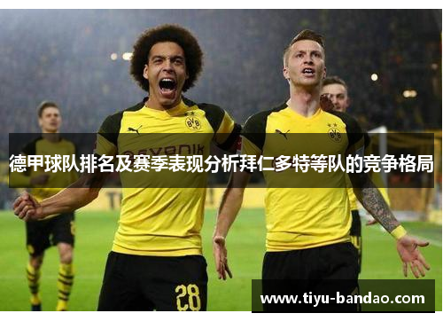 德甲球队排名及赛季表现分析拜仁多特等队的竞争格局
