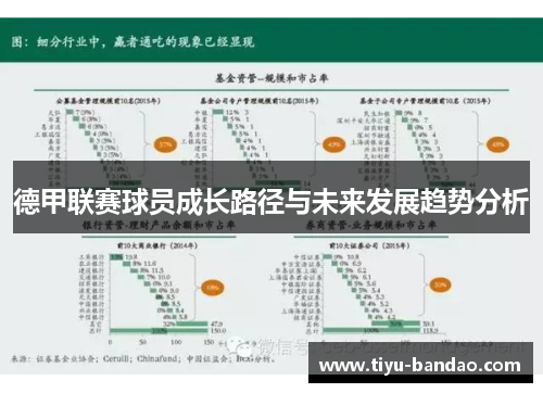 德甲联赛球员成长路径与未来发展趋势分析