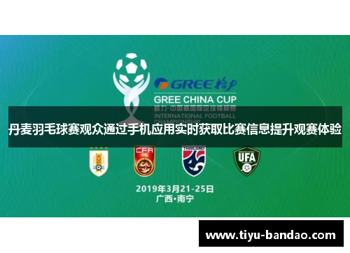 丹麦羽毛球赛观众通过手机应用实时获取比赛信息提升观赛体验