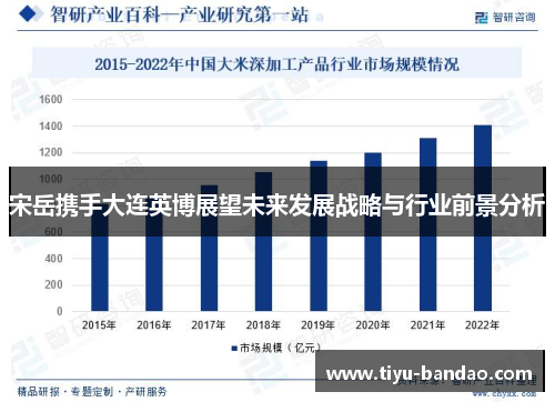 宋岳携手大连英博展望未来发展战略与行业前景分析