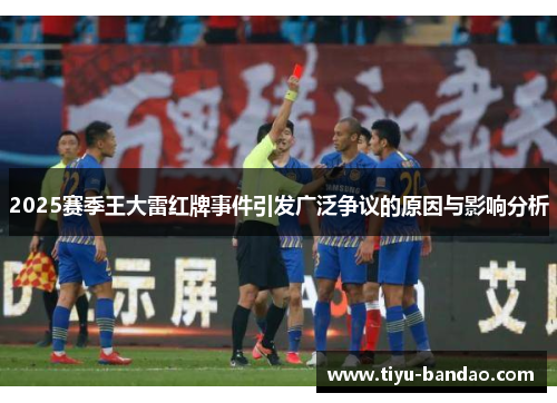 2025赛季王大雷红牌事件引发广泛争议的原因与影响分析