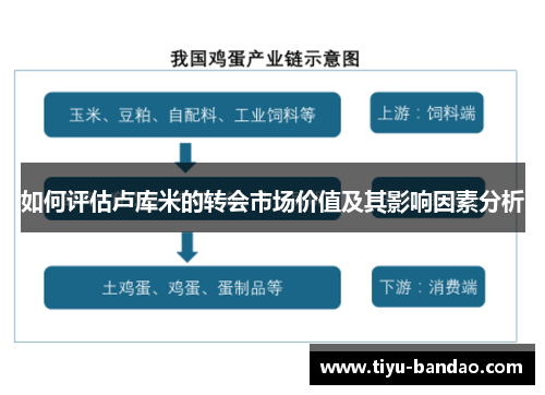 如何评估卢库米的转会市场价值及其影响因素分析