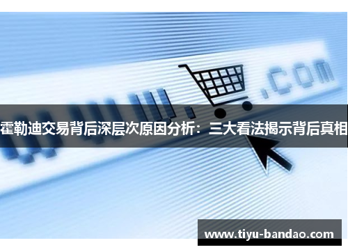 霍勒迪交易背后深层次原因分析：三大看法揭示背后真相