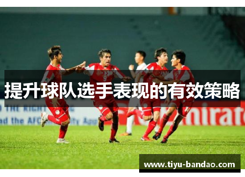 提升球队选手表现的有效策略