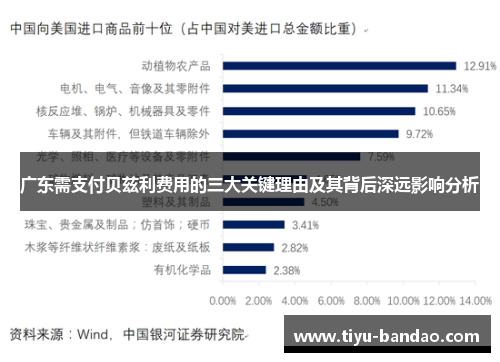 广东需支付贝兹利费用的三大关键理由及其背后深远影响分析