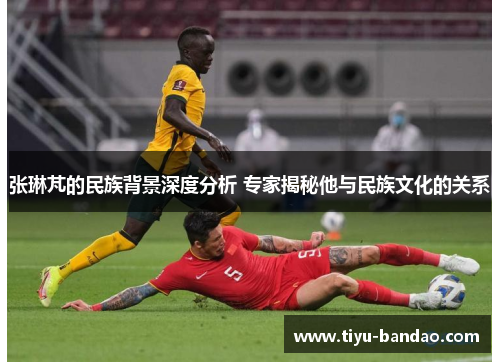 张琳芃的民族背景深度分析 专家揭秘他与民族文化的关系
